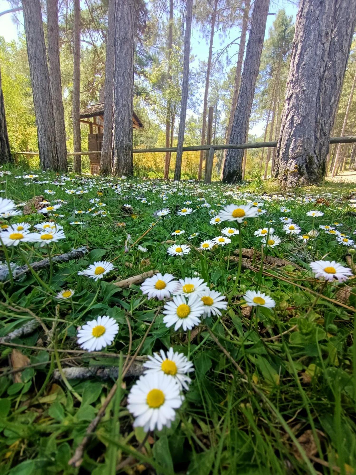 Alojamiento Rural El Cerro Fresneda de la Sierra Kültér fotó